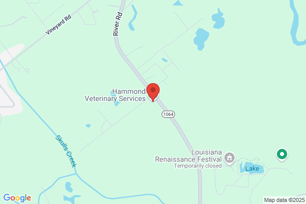 Hammond Veterinary