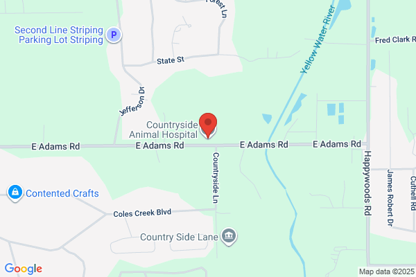 Countryside Animal Hospital