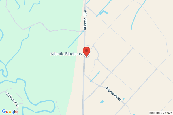 Atlantic Blueberry Co