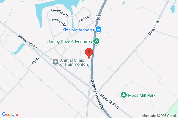 Vector Security - Hammonton, NJ