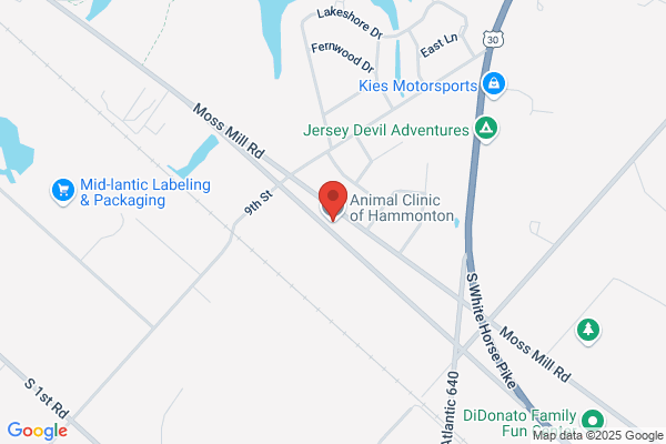 Animal Clinic Of Hammonton