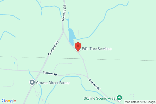 Ed's Tree Service