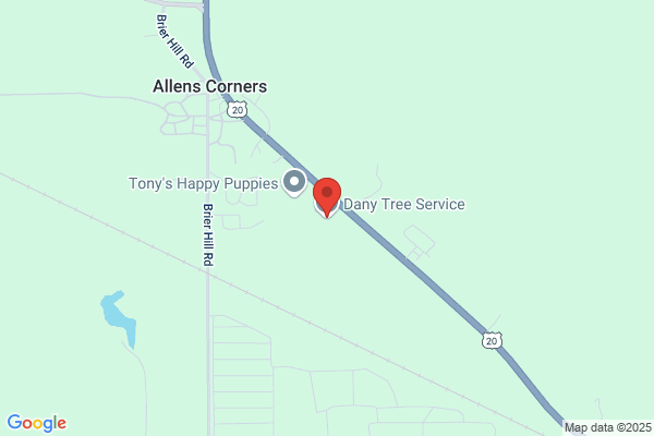 Dany Tree Service