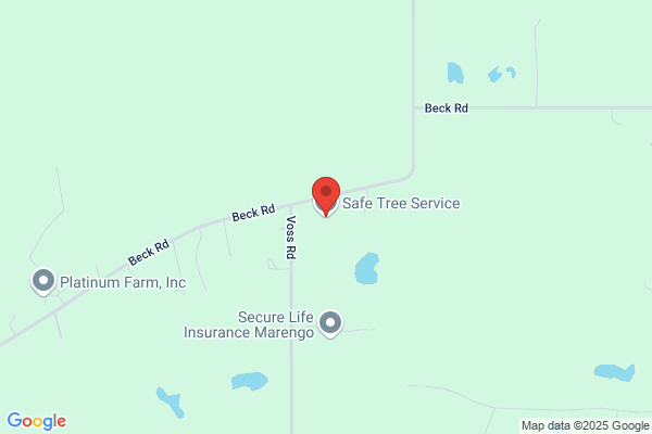 Safe Tree LLC