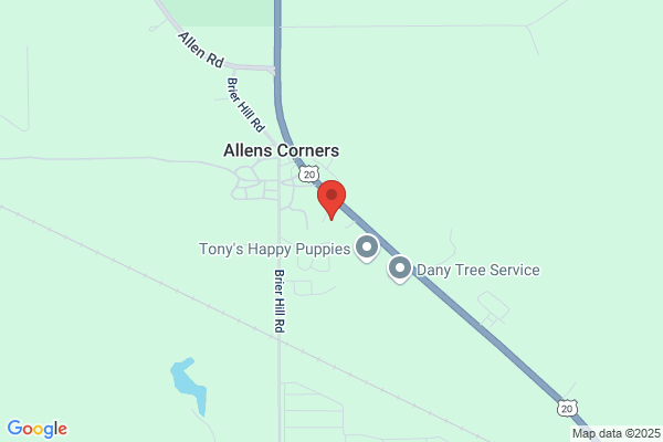 Easy Tree Service
