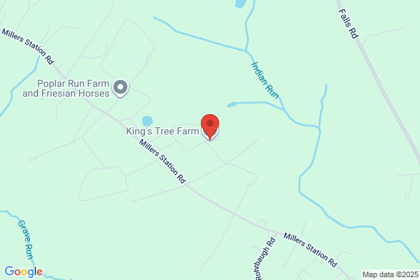 Kings Tree Farm