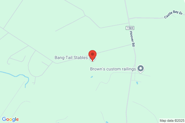 Bang Tail Stables