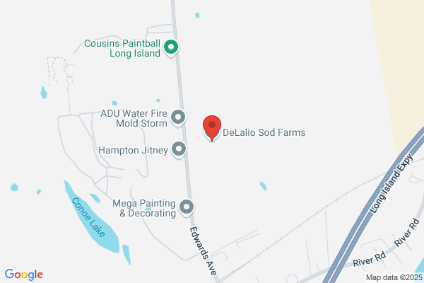 De Lalio Sod Farms Inc