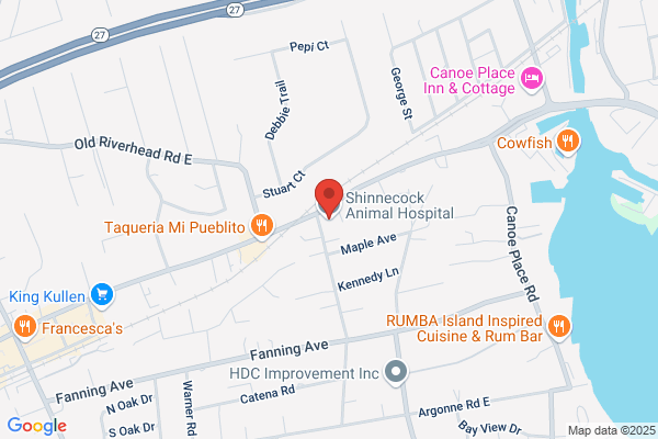 Shinnecock Animal Hospital