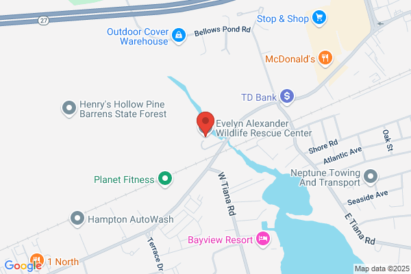 Wildlife Rescue Center of the Hamptons Inc