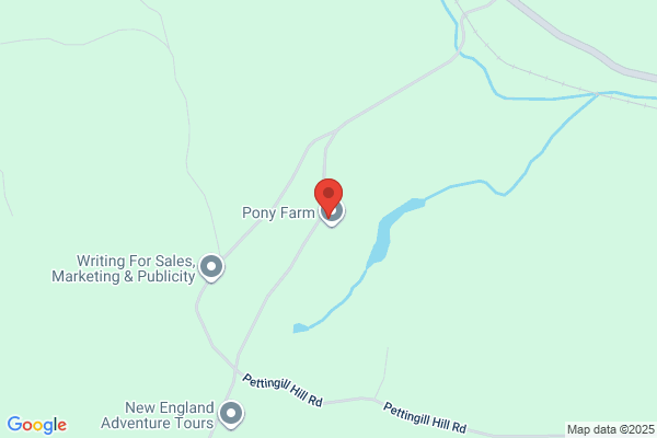 Ponies For Parties