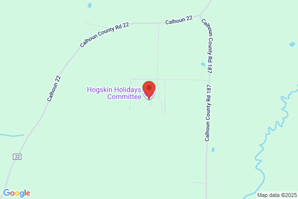 Hogskin Truck Stop