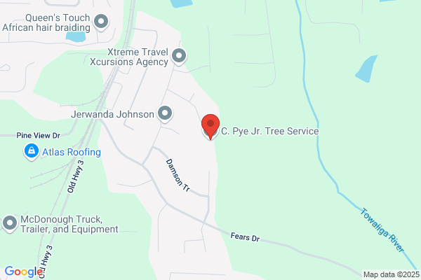 C.Pye Jr Tree Service