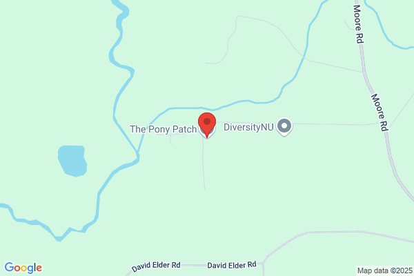 Pony Patch the
