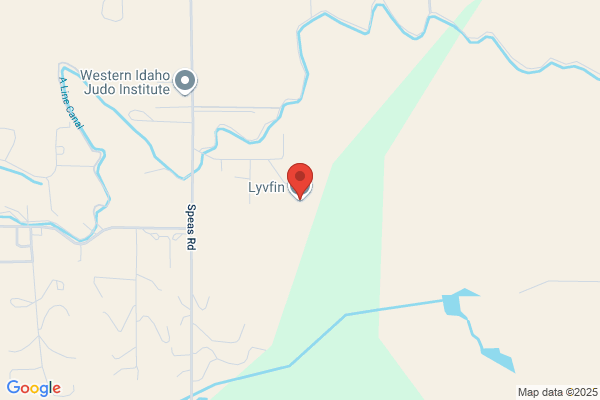 Lyvfin