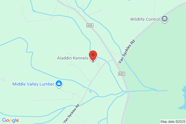 Aladdin Kennels