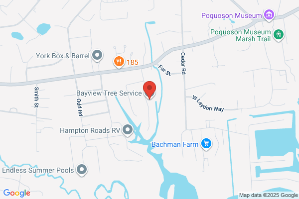 Bayview Tree Service