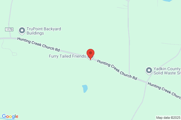 Furry Tailed Friends
