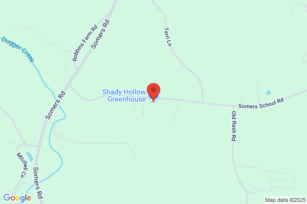 Shady Hollow Green House