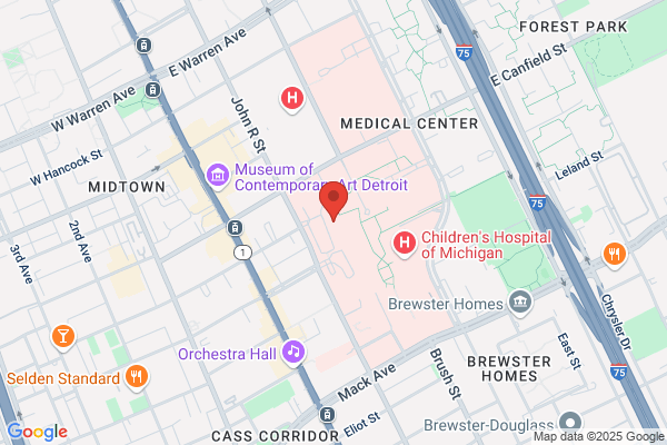 Detroit Medical Services