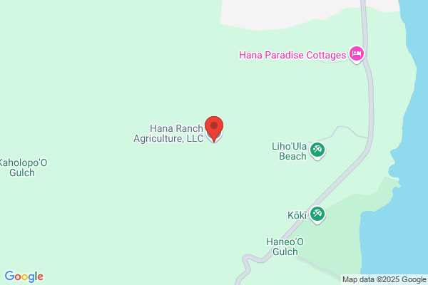 Hana Plantation Llc
