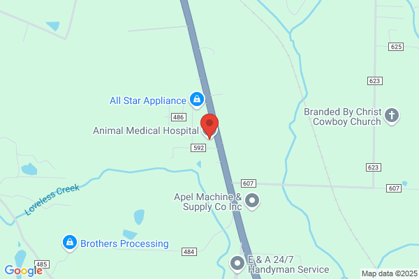 Animal Medical Hospital