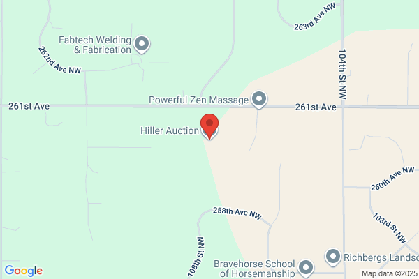 Zimmermans Auction Gallery