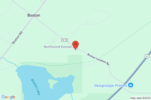 Northwind Kennel