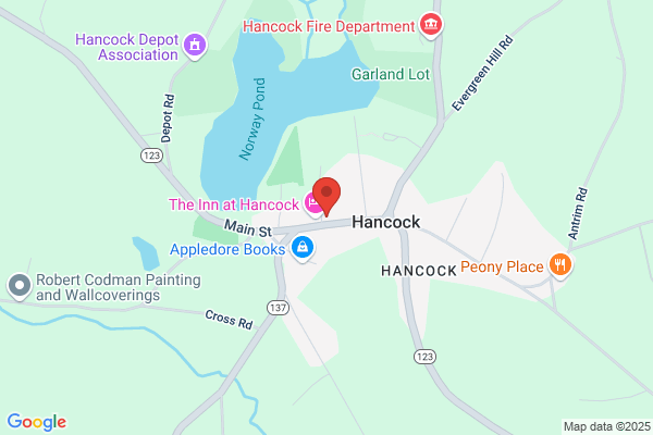 Hancock Town of, Library