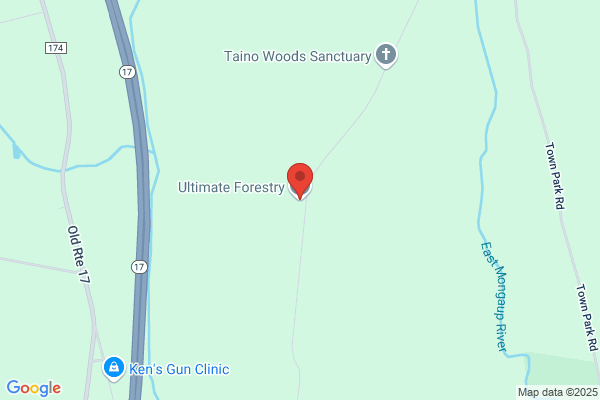Arboreal Forestry Services Llc