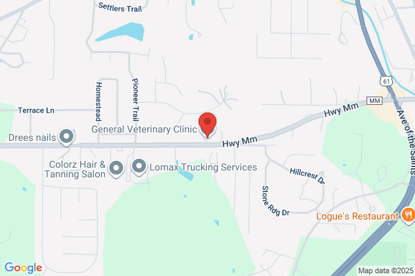 General Veterinary Clinic