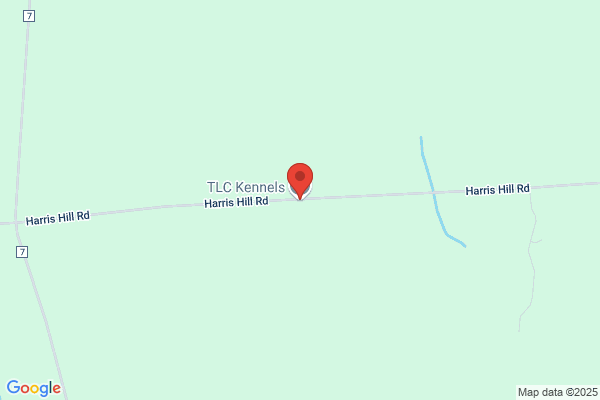 Tlc Kennels