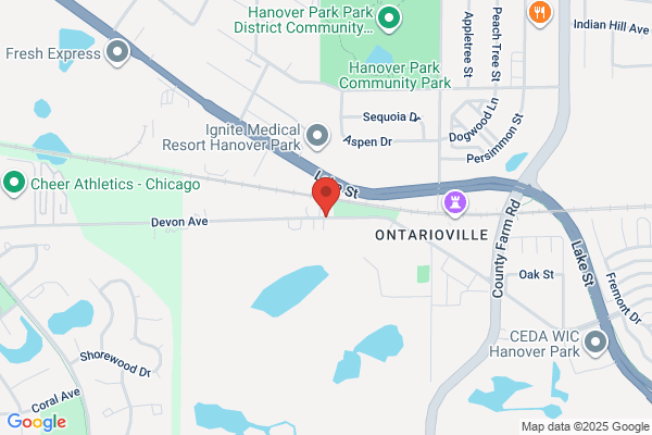 Ontarioville Art
