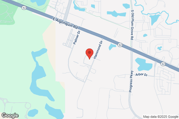 Roto-Rooter Plumbing & Drain Service