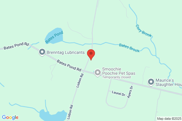Lepine Electric