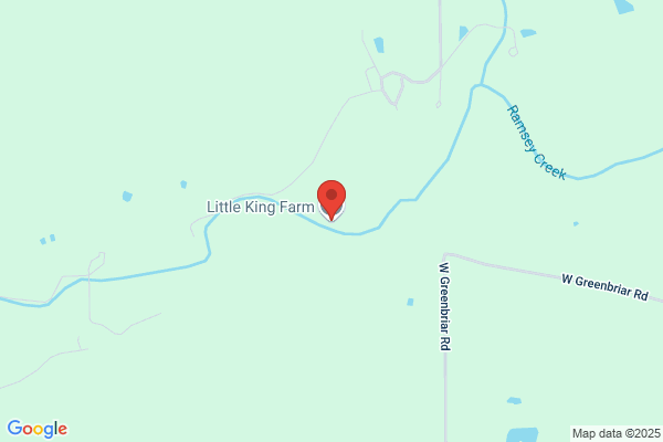 Little King Miniature Horse Farm