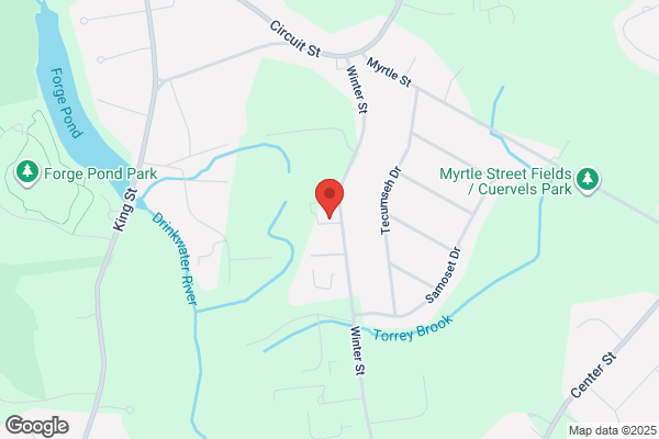 Bay State Tree Service