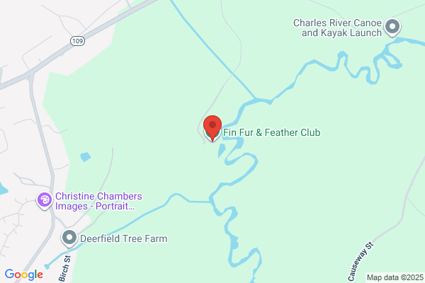 Fin Fur & Feather, Store