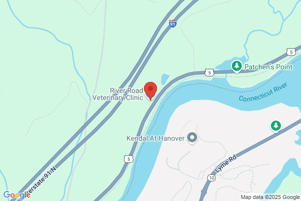 River Road Veterinary Clinic