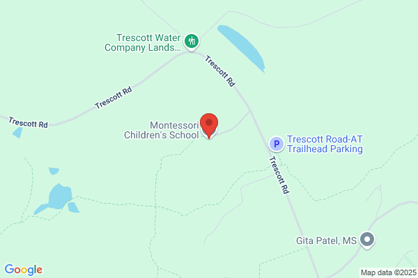 Montessori Children's School