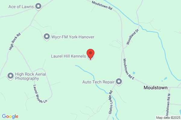 Laurel Hill Kennels