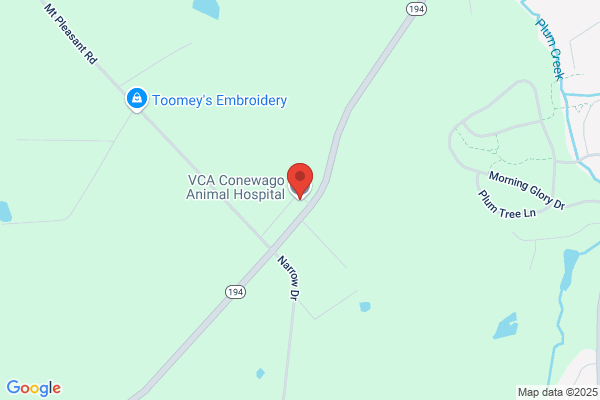 VCA Conewago Animal Hospital