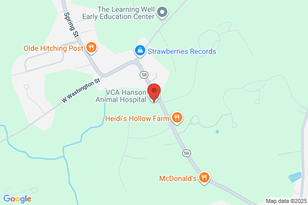 VCA Hanson Animal Hospital