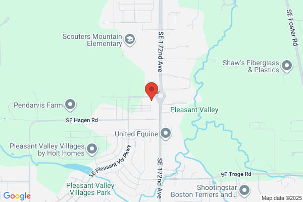 Scouter's Mountain
