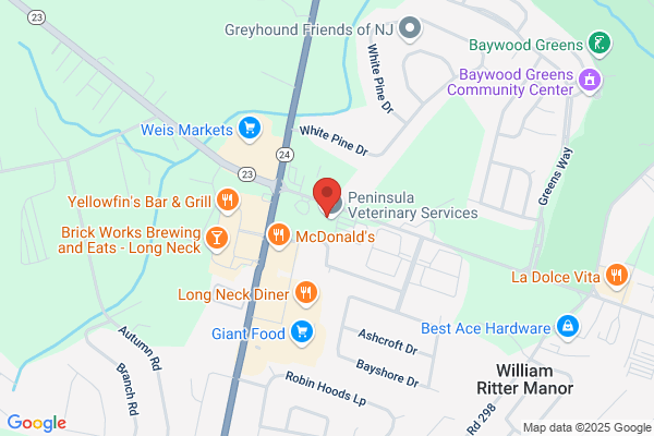 Next Level Hearing Care - Millsboro