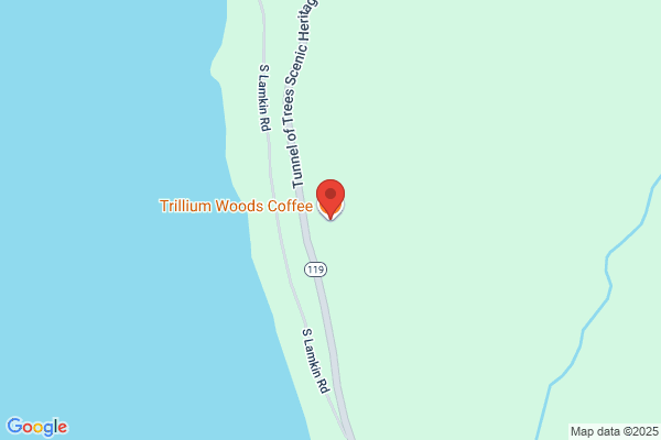 Village Cafe the