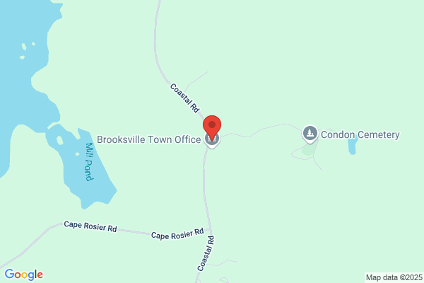 Brooksville Town of, Library