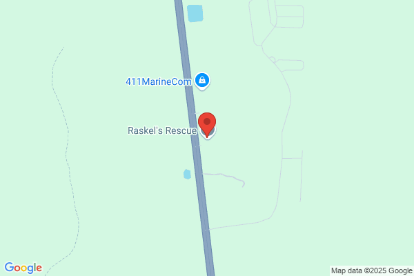 Hardeeville Pet Resort