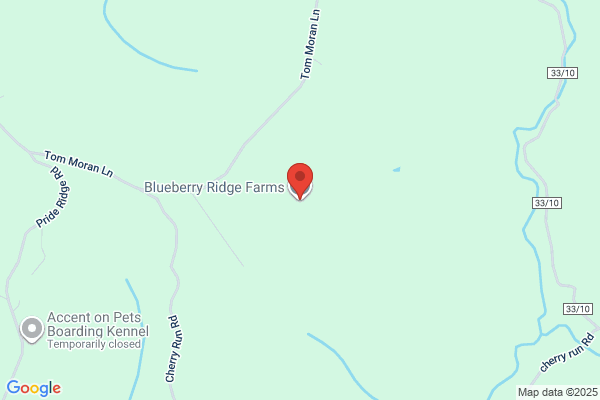 Blueberry Ridge Farm