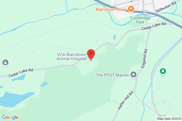 Cedar Lake Pet Services